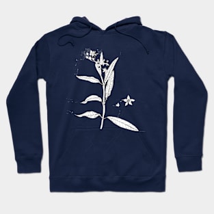 botanical illustration Hoodie